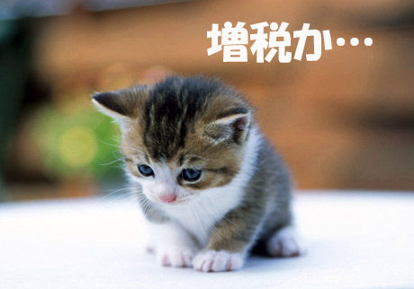 ÃùÃßÀÇ¡¡»àË´¾ÃÈñÀÇ¡¡ÀǶ⡡ÁýÀǤ˴ØÏ¢¤·¤¿²èÁü-01