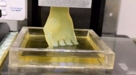 臓器 プリンター 医学 科学 ドナー 3Dに関連した画像-01