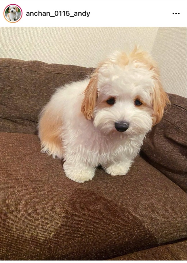 ���󥹥� ��Ƚ �� �̿� ������ ¿���� ��� ʸ�� �����Ȥ˴�Ϣ��������-03