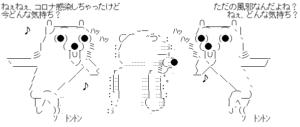 ブラジル ボルソナロ大統領 新型コロナ 陽性 感染に関連した画像-02