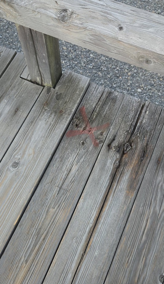 ���ܺ�Ĺ����¤����˩�鶶�����ͥ����¼趶���ʿ������󥯥꡼�ȡ��䶯�����������塡�̹������˴�Ϣ��������-06