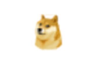 ĥå󡡸DogeCoinܤ˴Ϣ-03