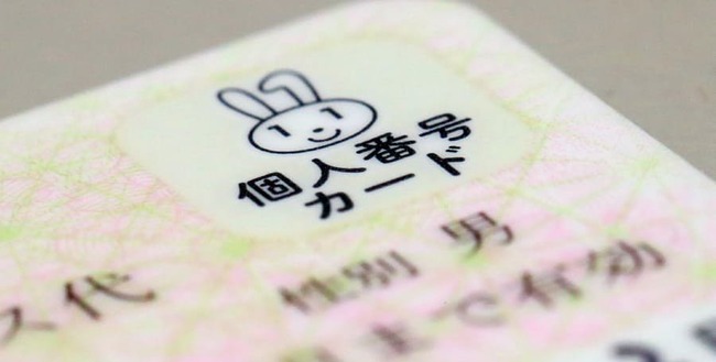 免許証　マイナンバーカード　住所変更　免許更新に関連した画像-01