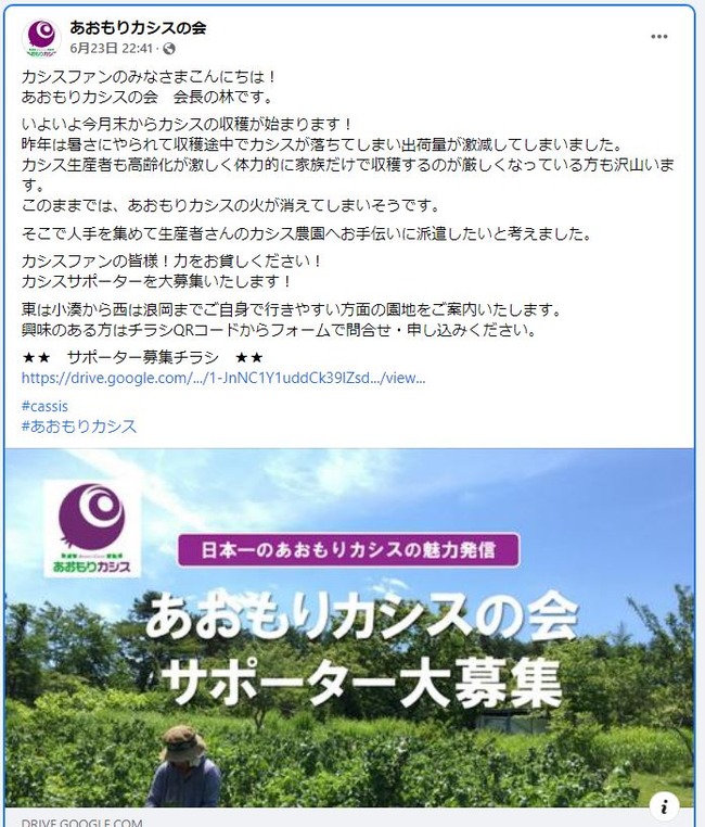 ボランティア カシス 青森 人手不足 注文殺到 奴隷 対価 サポーター搾取 SDGs 売上に関連した画像-03