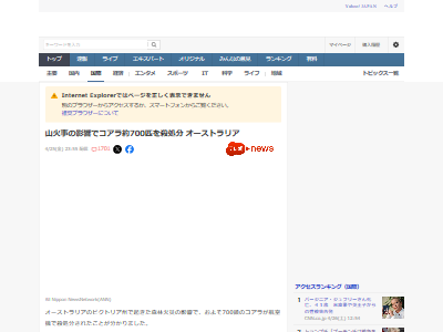 オーストラリア コアラ 安楽死 狙撃 飛行機 捕鯨 動物愛護に関連した画像-02