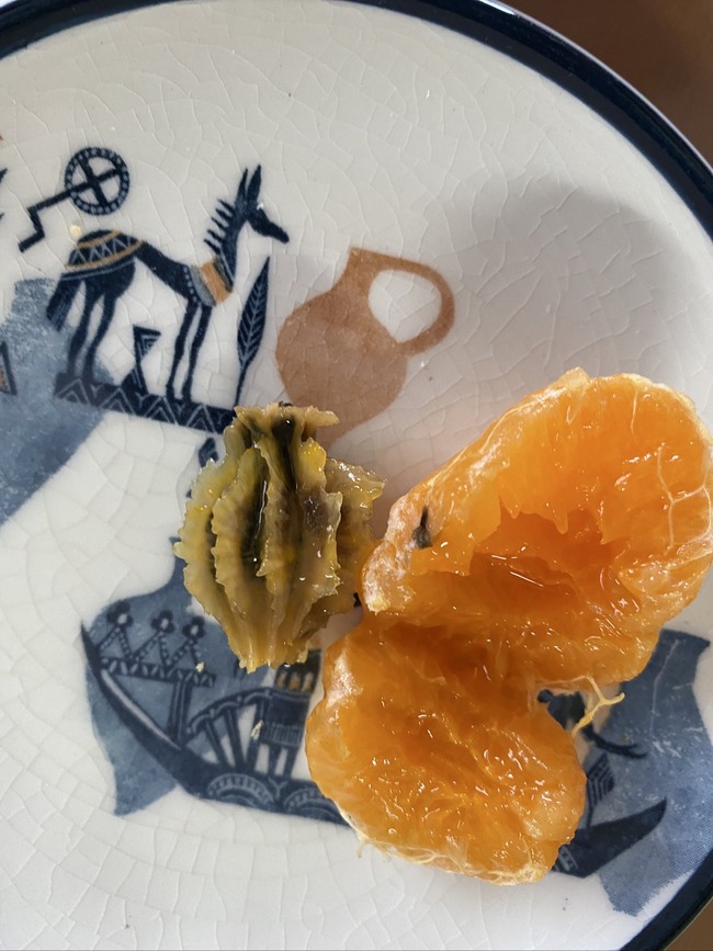 みかん 軸腐病 病気 尿路結石 オレンジ に関連した画像-02