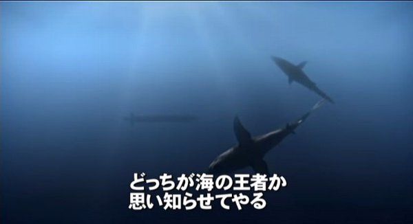 映画に関連した画像-09