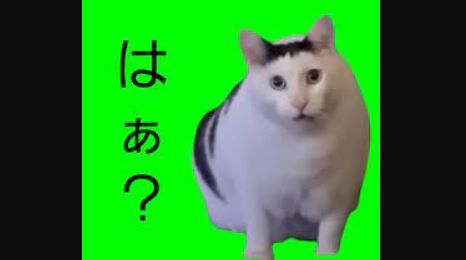 猫ミーム　商品化　グッズ　TikTok　バナナキャット　ハピ猫　説教猫　ショート　500円に関連した画像-01