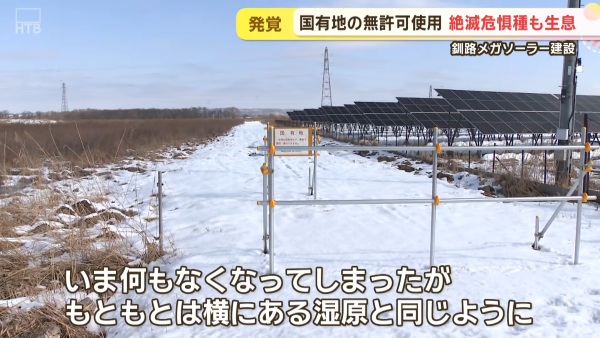 ��ϩ�������ᥬ�����顼�����ܥ������������Ķ��˲������Ǵ����������Ƴ����ͭ�ϡ��ͥåȤ�ȿ�����̳�ƻ�����۸�ȯ�Ť˴�Ϣ��������-04