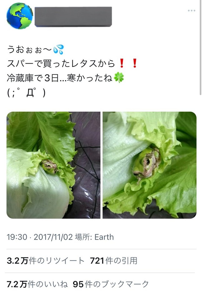 蛙　丸亀製麺　混入　レタス　寛容に関連した画像-02