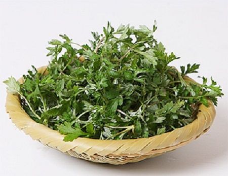 ドラクエに出てくる やくそう の使用方法は そのまま食べる 煎じて飲む 患部に貼る かざすだけで効果がある オレ的ゲーム速報 刃