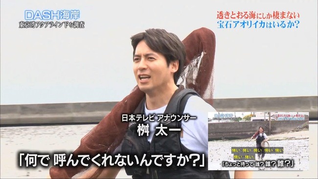 桝太一 アナウンサー 日本テレビ 退社 同志社大学 研究職に関連した画像-01