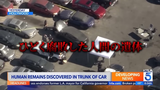 ����ꥫ d4vd ��� ���쥹�� ���� ���ΰ�� ���Ǥ˴�Ϣ��������-04