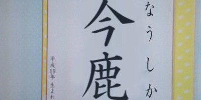 最近のdqnネーム キラキラネーム が酷い件 今鹿で なうしか オレ的ゲーム速報 刃