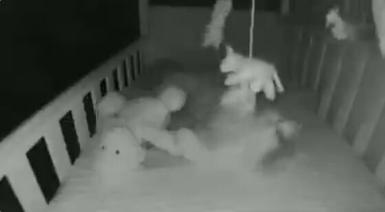 �Ҷ��������֤���󡡥٥ӡ���˥������������á����Ρ�ǭ�˴�Ϣ��������-02