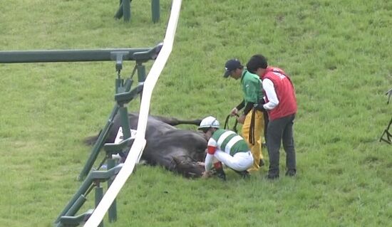 日本ダービー　スキルヴィング　競馬　急性心不全　死亡　ルメール　17着　青葉賞　搬送に関連した画像-01