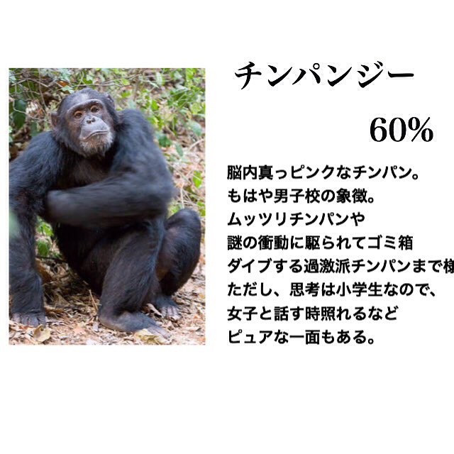 男子校分類に関連した画像-04