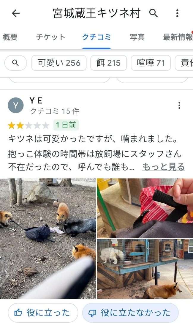 婚活女 34歳 キツネ村 迷惑行為 自作自演に関連した画像-09