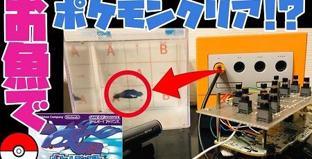 ポケモン 魚 操作 クリア 生放送 逃がす バシャーモに関連した画像-01