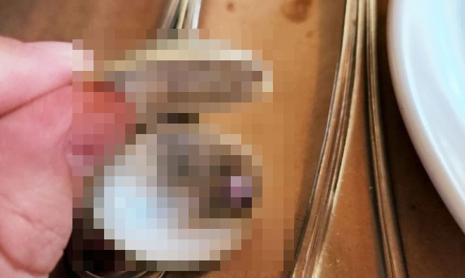 レストラン　前菜　硬い物　紫色　真珠に関連した画像-01