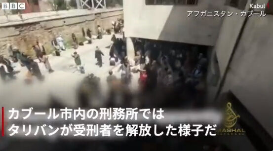 ���ե��˥����� ����Х� ���� ���֡������ ����ꥫ ��̱ ƨ���Ф� �Ʒ��˴�Ϣ��������-13