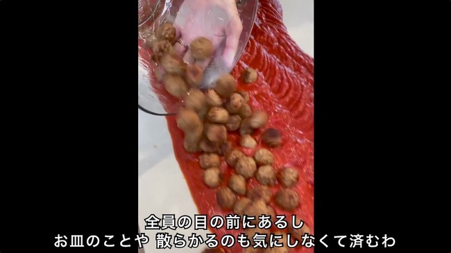 ���ѥ��åƥ����ѥ���������ˡ�˴�Ϣ��������-04