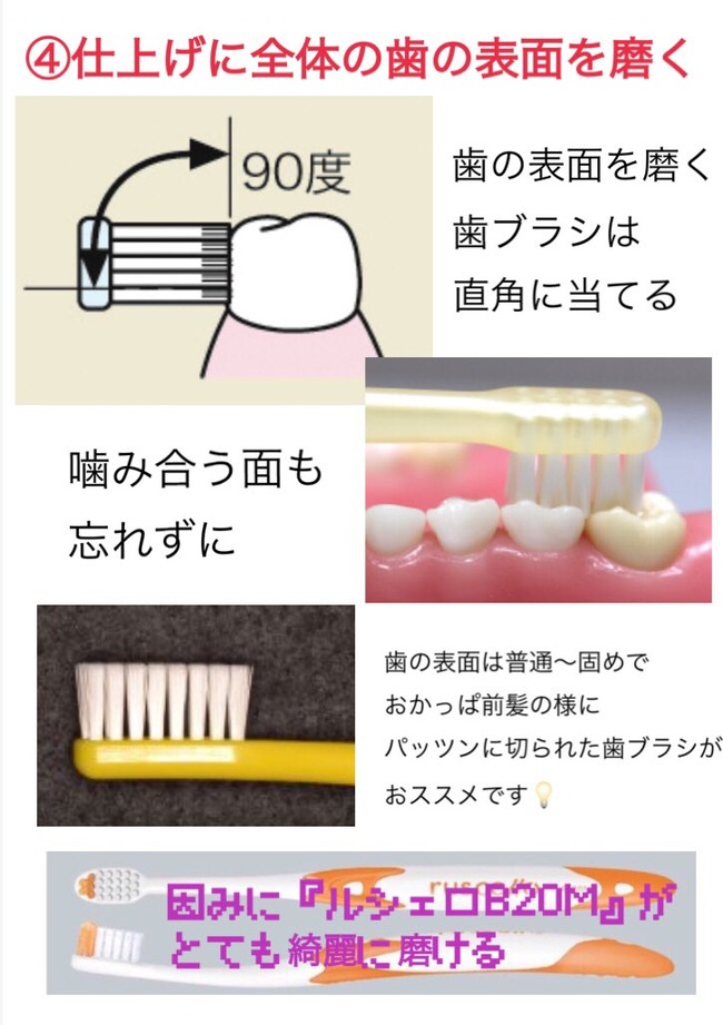歯 歯科衛生士 オタク ハミガキに関連した画像-05