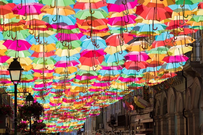 פ ݥȥ ֥饹ץ ˴Ϣ-05