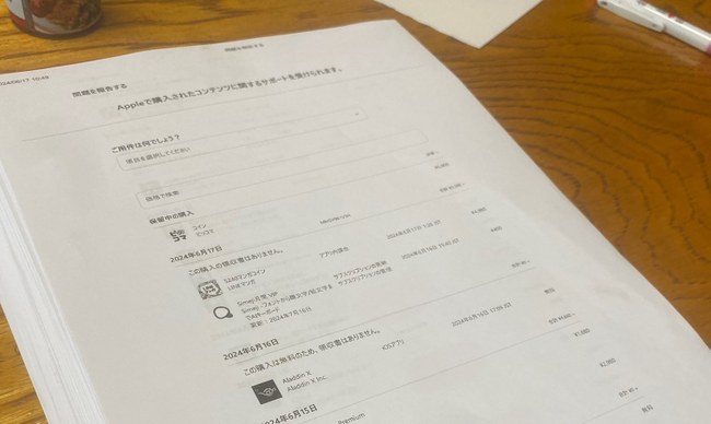 兄　祖母　お金　勝手　引き出す　口座　ゲーム　課金　4000万円　民事　返金　制裁に関連した画像-01