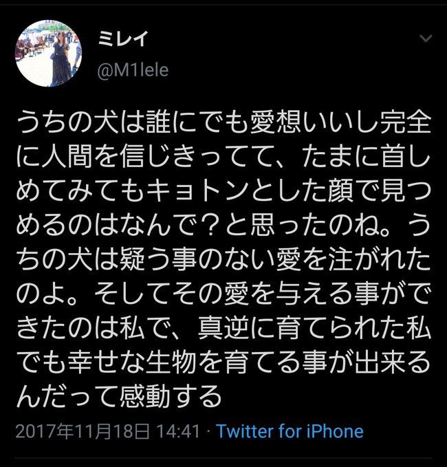 道で会ったカラスが懐いて家まで来ちゃったんだけど パシャッ 30万いいね しかし 懐いた というのは嘘で実は していた疑惑が浮上して炎上 オレ的ゲーム速報 刃 道で会ったカラスが懐いて家まで来ちゃったんだけど パシャッ 30万いいね しかし 懐いた というのは嘘で実は していた疑惑が浮上して炎上 オレ的ゲーム速報 刃