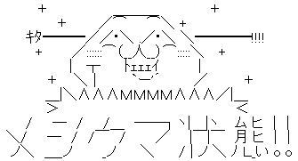 WS000003