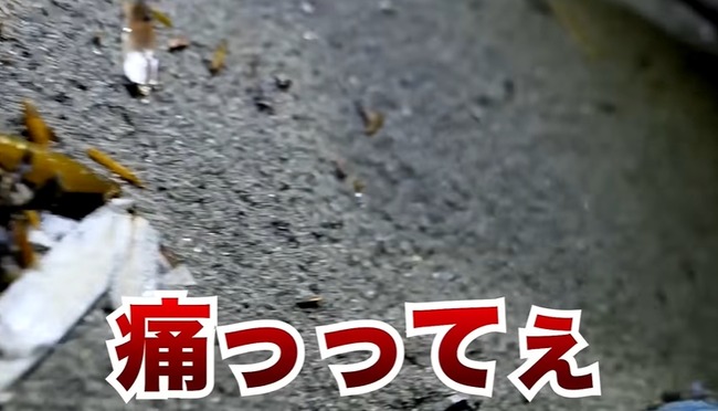 �ۥ⥵�ԡ��桼���塼�С���YouTuber�����ǥ��饲�����ĥ��Υ��ܥ����н��˴�Ϣ��������-05