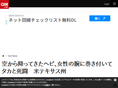ヘビ タカ 死闘に関連した画像-02