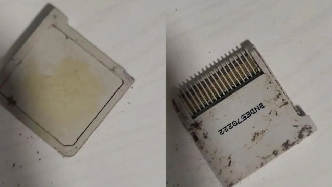 �ݥ����3DS�����եȡ�6ǯ����ʶ����6ǯ�塡ȯ����������ư��ǤŷƲ�˴�Ϣ��������-02