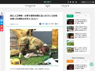 泣いた 火事で仮死状態となった犬に人工呼吸を行い命を救った消防士がかっけええ オレ的ゲーム速報 刃