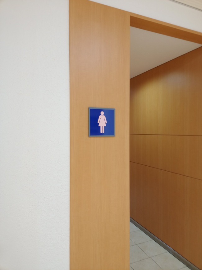 �����ȥ��� �˻� ���� ɽ�� � �� �狼��ˤ��� ����������˴�Ϣ��������-02