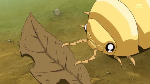 ���󥴥ॷ����ݡ��Ȥ˴�Ϣ��������-01