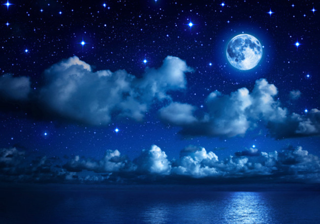 �֥롼�ࡼ�󡡳�����˴�Ϣ��������-01