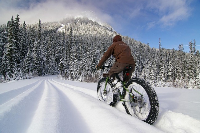 雪道 自転車に関連した画像-01