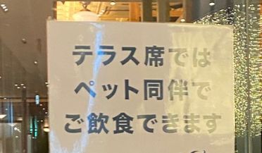 テラス　ペットに関連した画像-01