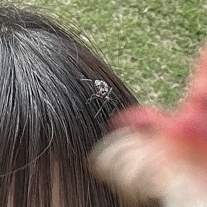 小倉まゆ なんキニ! まゆちゃん 桜 自撮り 虫 頭 ヨコヅナサシガメ サシガメに関連した画像-03