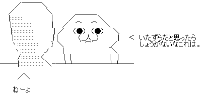aa19
