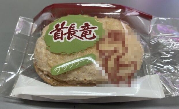 天塩中川駅 首長竜 ダックワーズ パッケージ ヨッシー 酷似  任天堂法務部に関連した画像-01