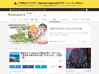 �˥塼�������������륺������и�������˴�˴�Ϣ��������-02