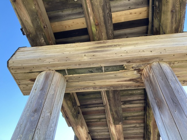 ���ܺ�Ĺ����¤����˩�鶶�����ͥ����¼趶���ʿ������󥯥꡼�ȡ��䶯�����������塡�̹������˴�Ϣ��������-03