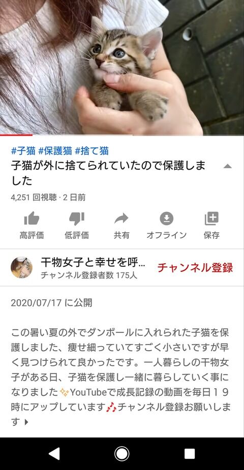 炎上 たまたま撮影機材が揃った状態でたまたま綺麗な捨て猫を拾っただけの女性youtuber 自演だと批判されアカウント削除 オレ的ゲーム速報 刃