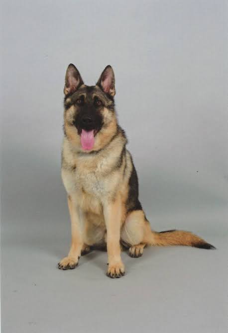 �ٻ�����������١�ɽ�����ܺ������������˴�Ϣ��������-04