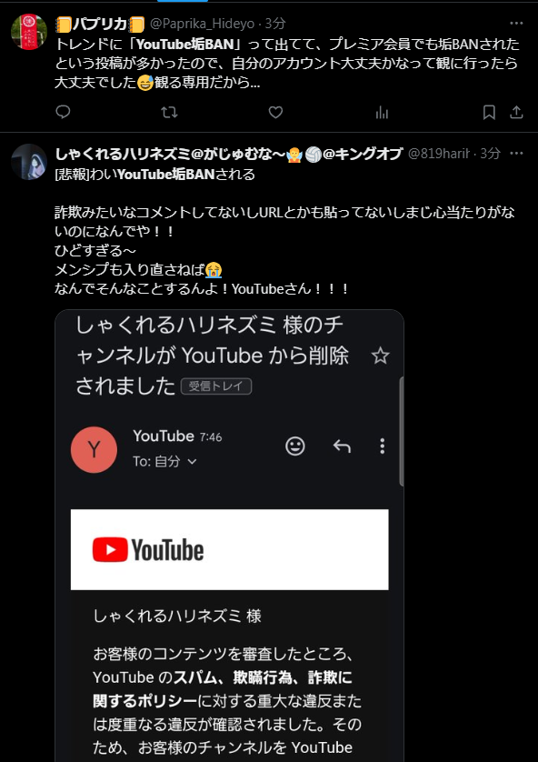 youtube����������ȡ�BAN����BAN���ץ�ߥ���˴�Ϣ��������-02