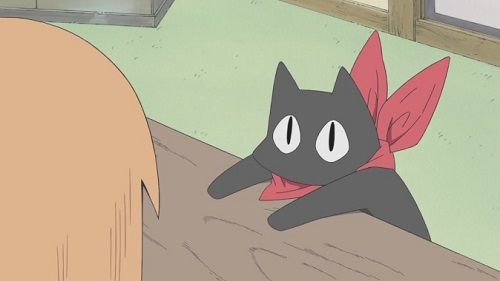 ネコに関連した画像-01