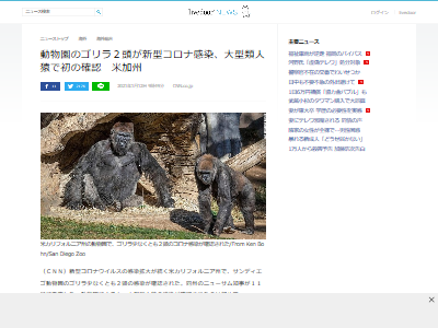 ����ꥫ����鿷�������ʳ�ǧ�˴�Ϣ��������-02